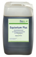 Equisetum plus