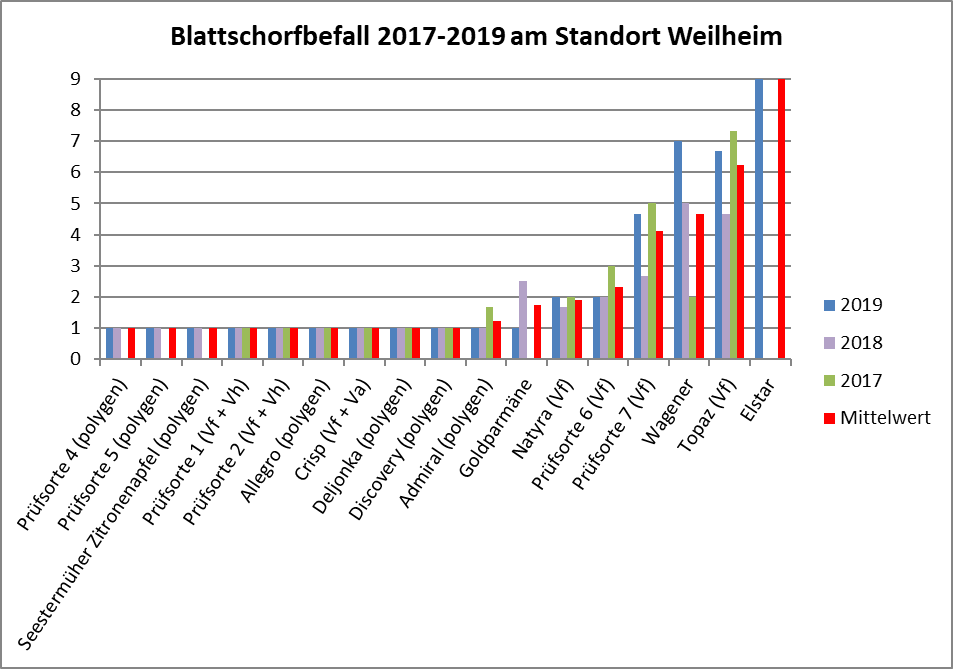 Blattschorfbefall scho-wi Sorten