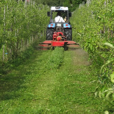 Angepasstes Mulchgerät