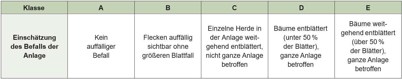 Boniturschema Marssonina